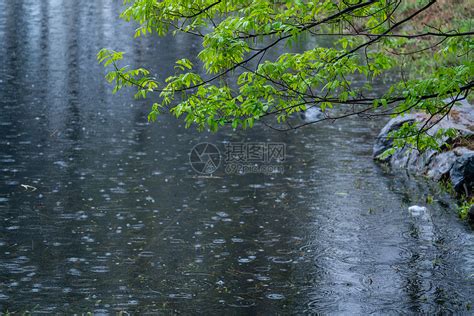 落雨|关于落雨的诗词